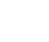 Opium poppy(May)