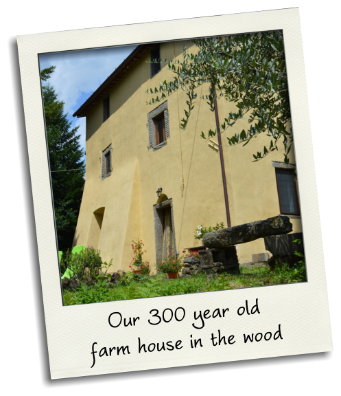 Our 300 year old farm house in the wood